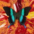 Damien Hirst - Inspirational Butterfly